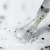 Top Dots Black 8ml (no wipe)